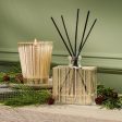 Birchwood Pine Reed Diffuser (Limited Edition) Online now