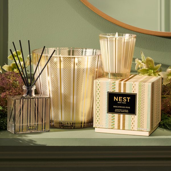 Birchwood Pine Reed Diffuser (Limited Edition) Online now