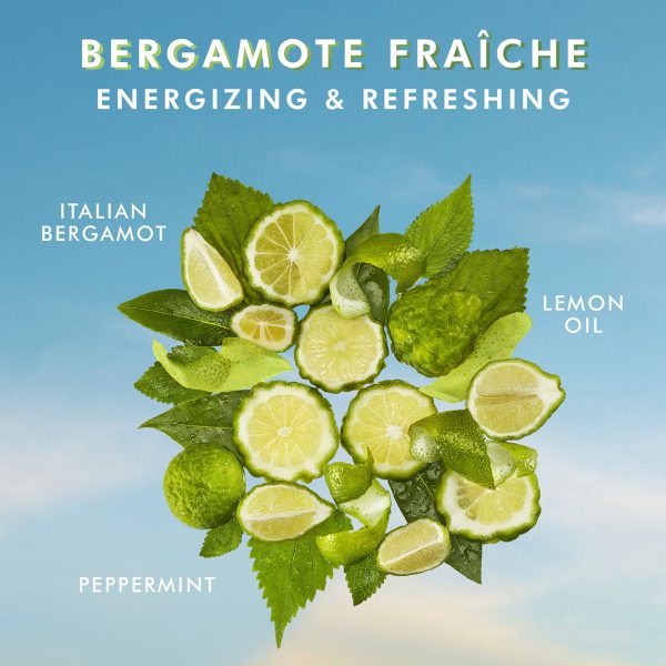 Hand Wash Bergamote Fraîche Online now