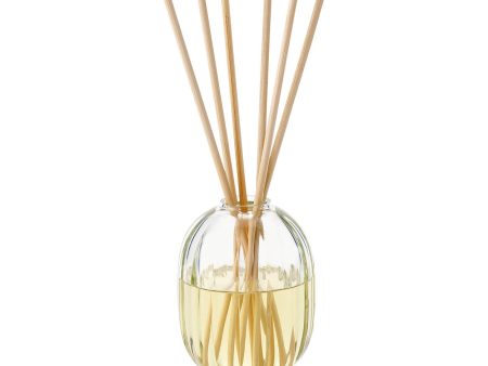 34 Boulevard Saint Germain Reed Diffuser Hot on Sale