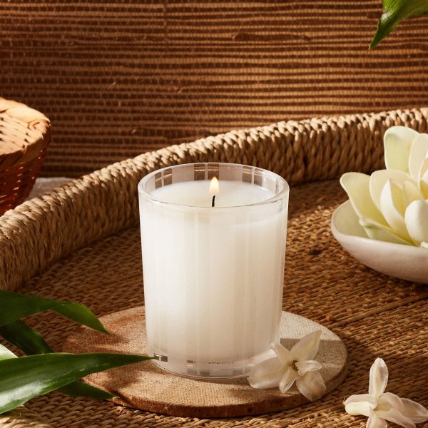 Bamboo Candle Supply