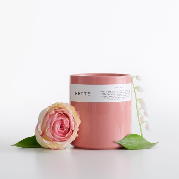 Gallica Rose Candle Online now