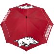 Team Effort 62  Windsheer Collegiate Umbrella Online Hot Sale