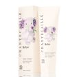 Bébé Wild Moss Rose Body Lotion Online