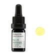 Baobab Sarsaparilla Serum Concentrate For Discount